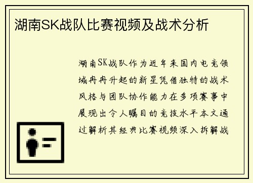 湖南SK战队比赛视频及战术分析